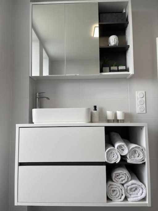Appartement T3 En Centre-Ville De Thonon-Les-Bains Luaran gambar